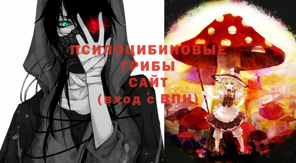 молекула духа Карпинск