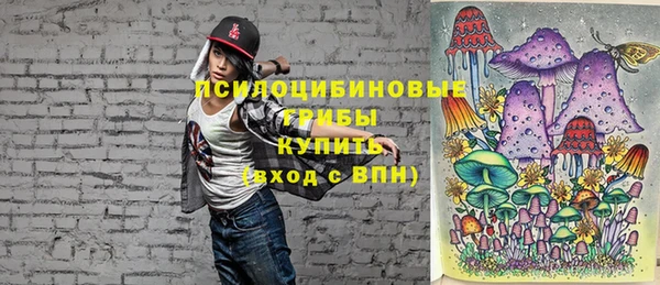 молекула духа Карпинск